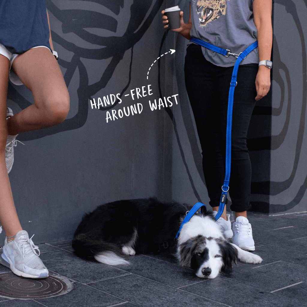 multi-function-leash-navy-hands-free-waist