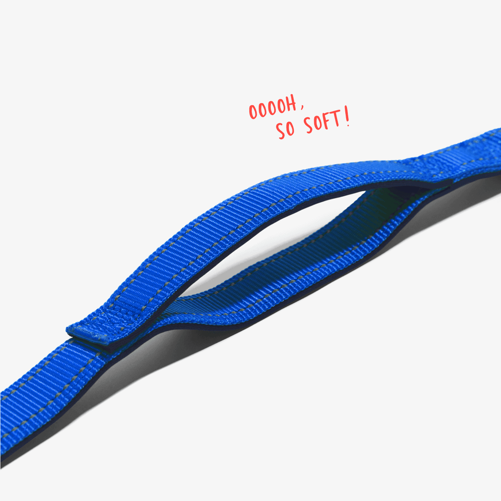 multi-function-leash-navy-padded-handle