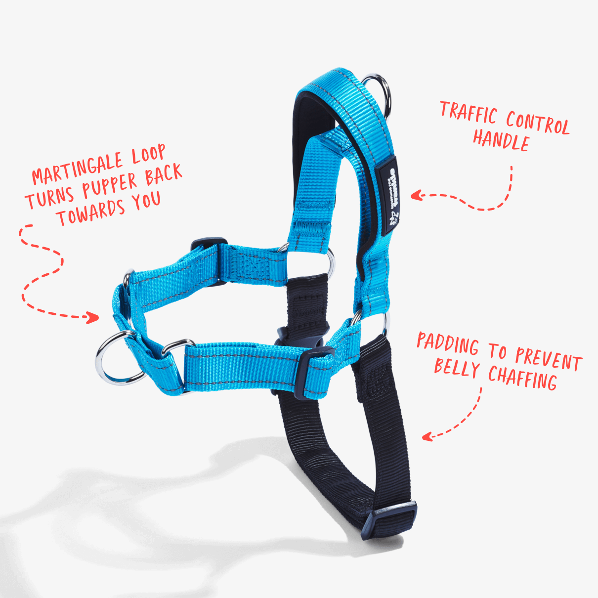 No pull dog harness Aqua Something For Frankie