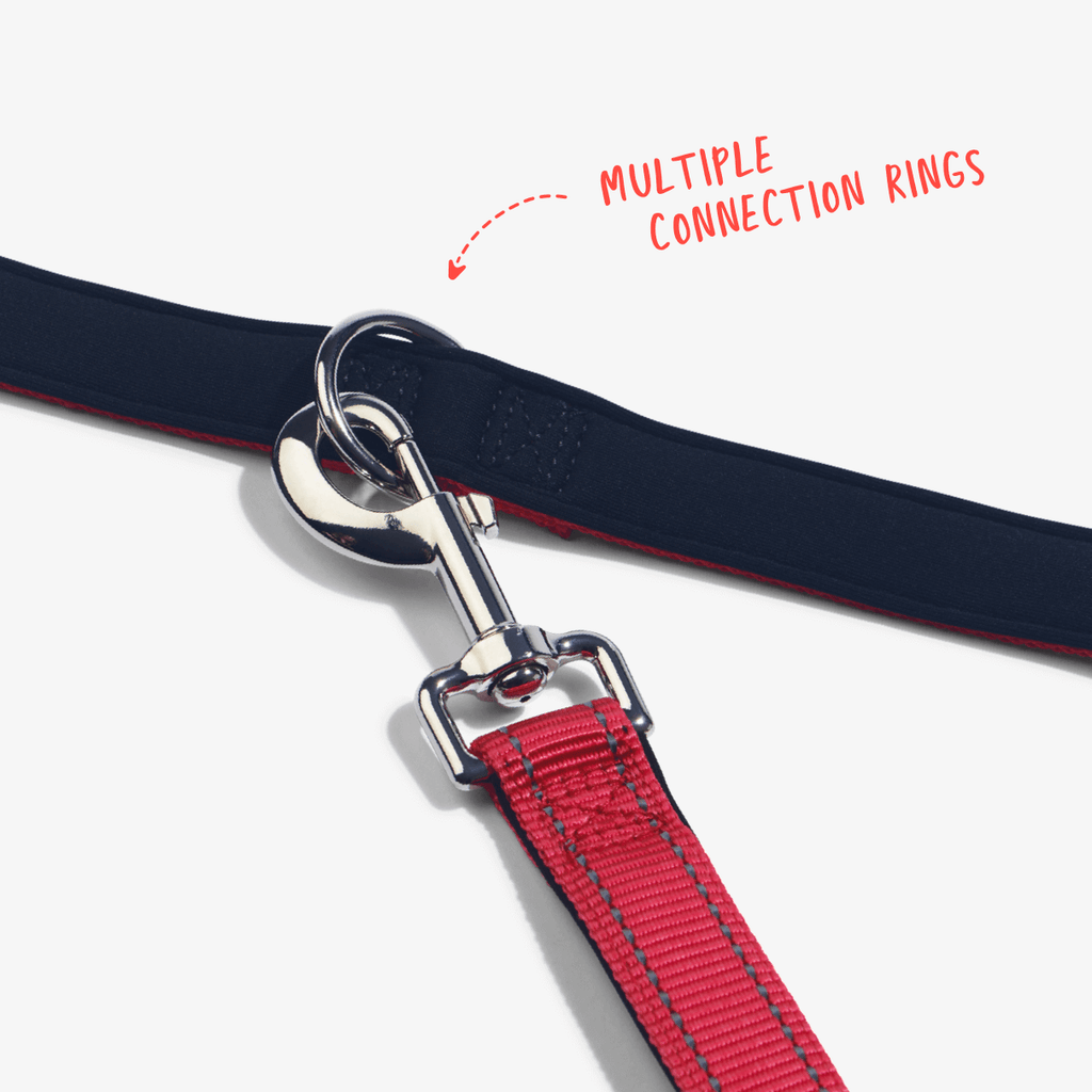 Multifunction Leash 6-in-1 multifunction dog leash – Red – Something For Frankie