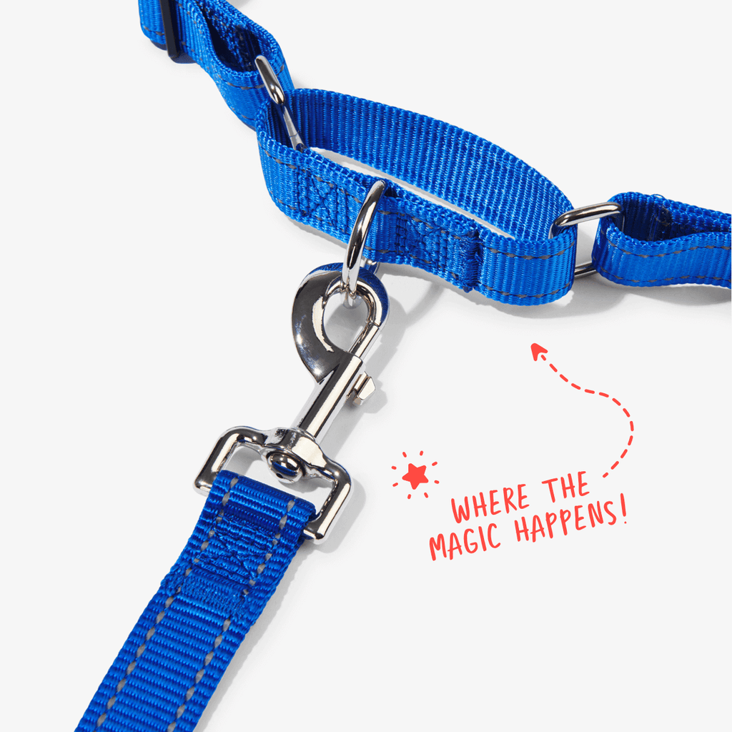 Navy no pull dog harness showing front clip and martingale loop to prevent pulling