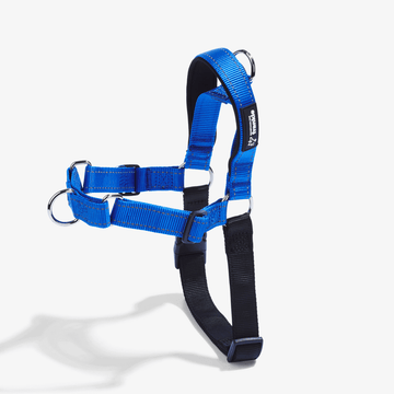 Navy no pull dog harness showing padding and adjustable