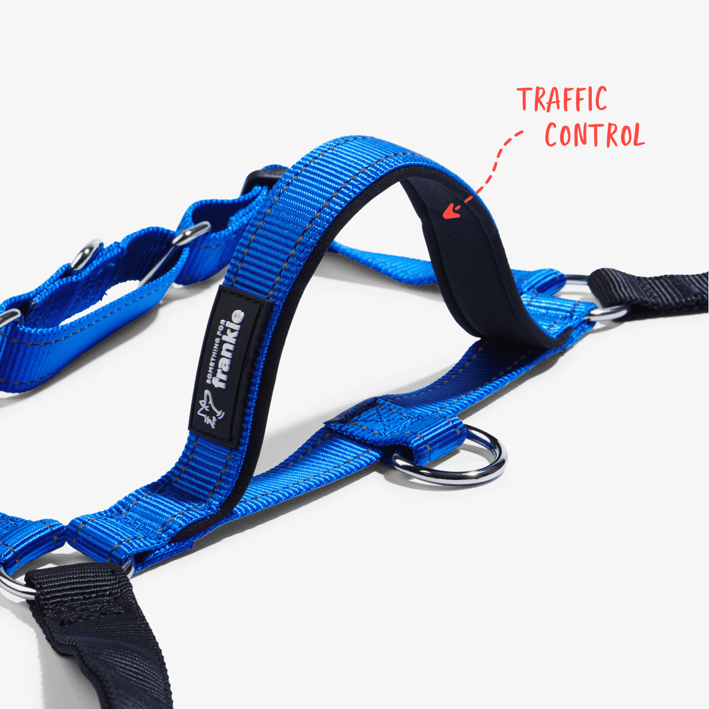 Navy no pull dog harness with padded handle for traffic control in busy areas
