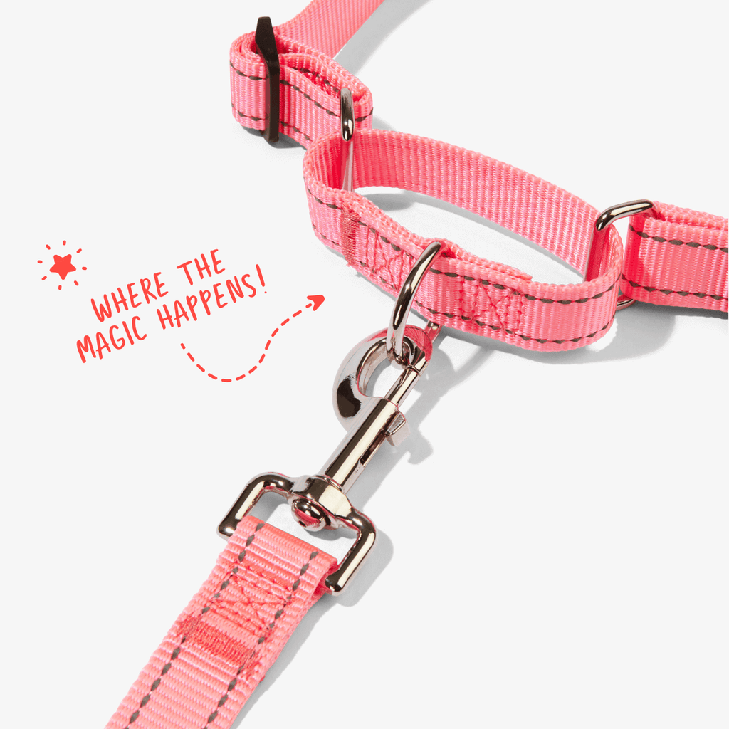 Pink no pull dog harness showing front clip and martingale loop to prevent pulling