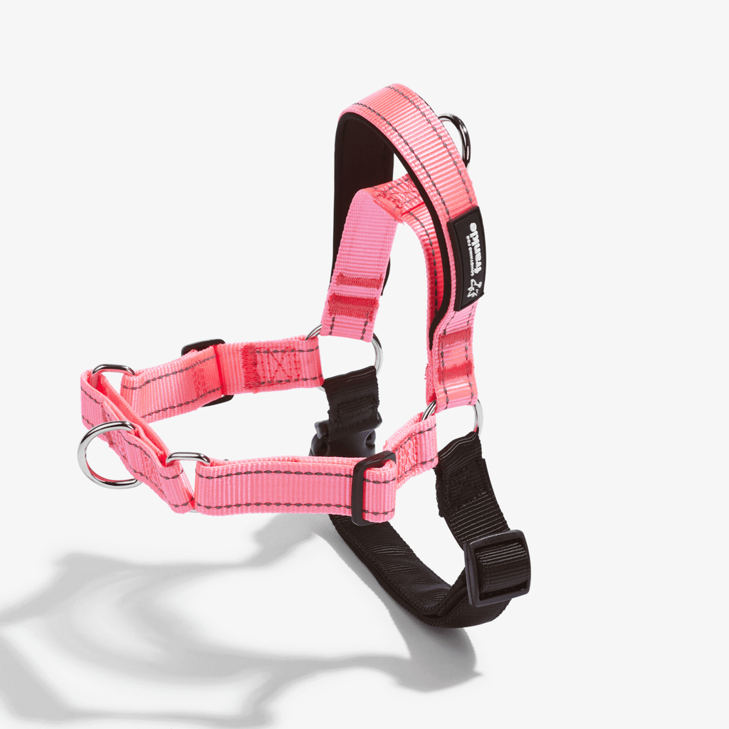 Pink no pull dog harness showing padding and adjustable