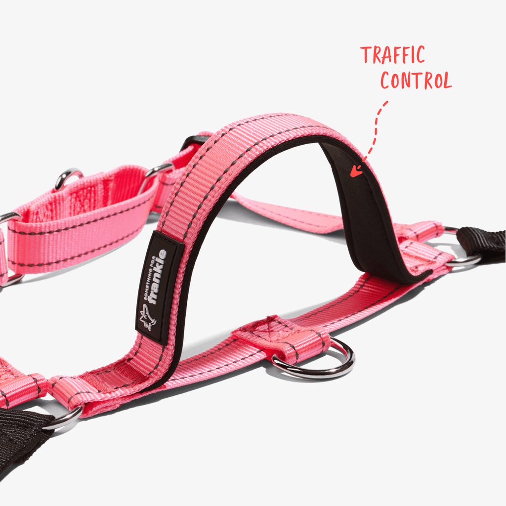 Pink no pull dog harness with padded handle for traffic control in busy areas