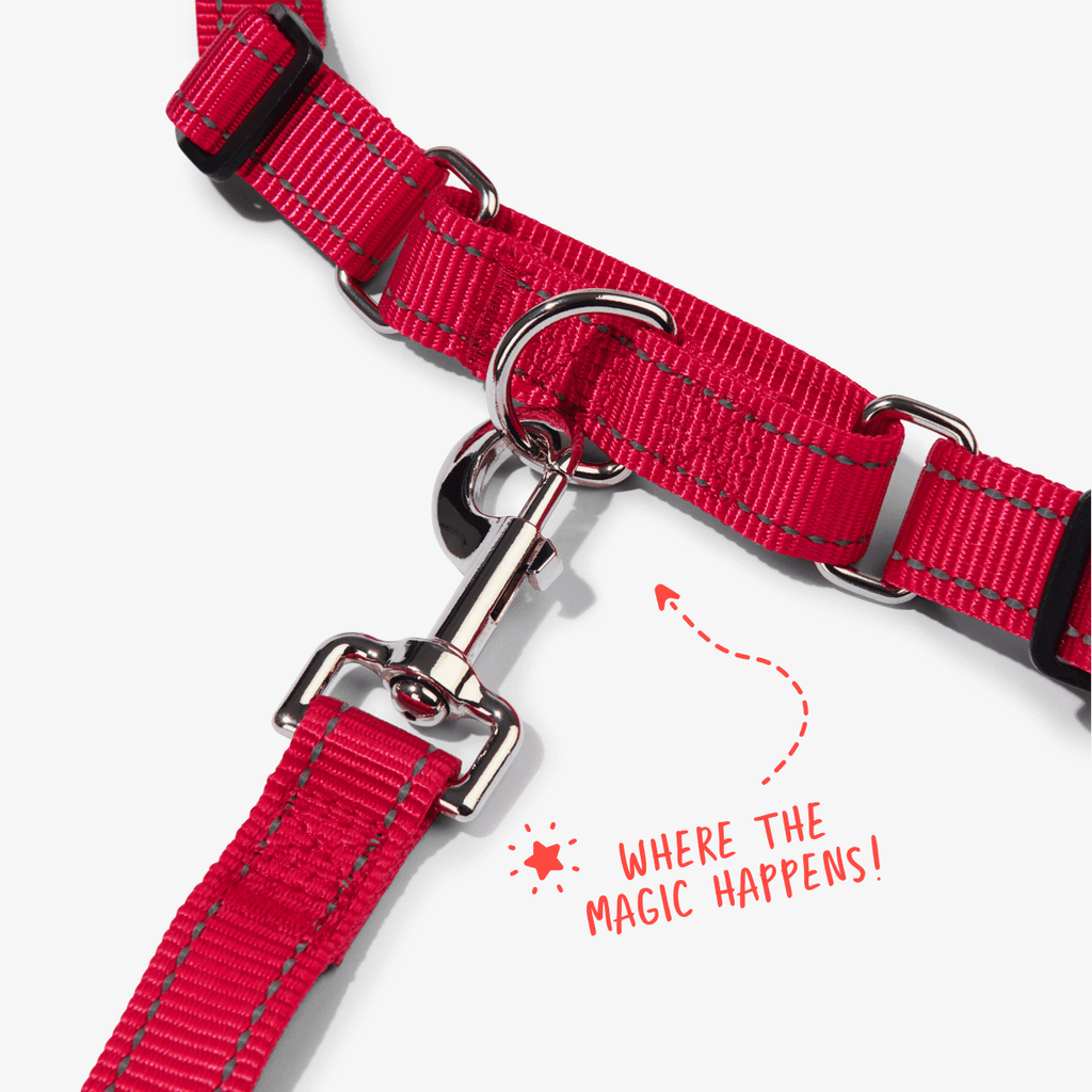 Red no pull dog harness showing front clip and martingale loop to prevent pulling