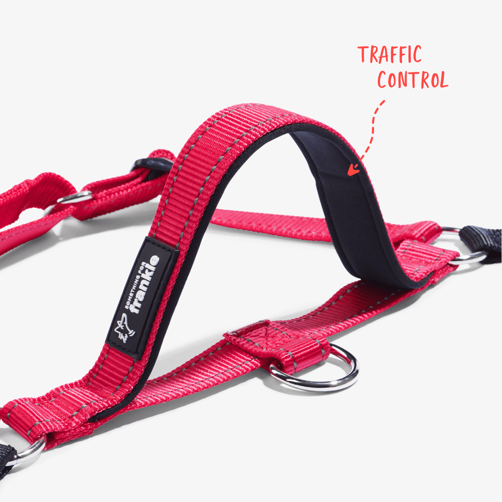 Red no pull dog harness with padded handle for traffic control in busy areas