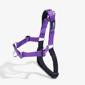 Violet no pull dog harness showing padding and adjustable