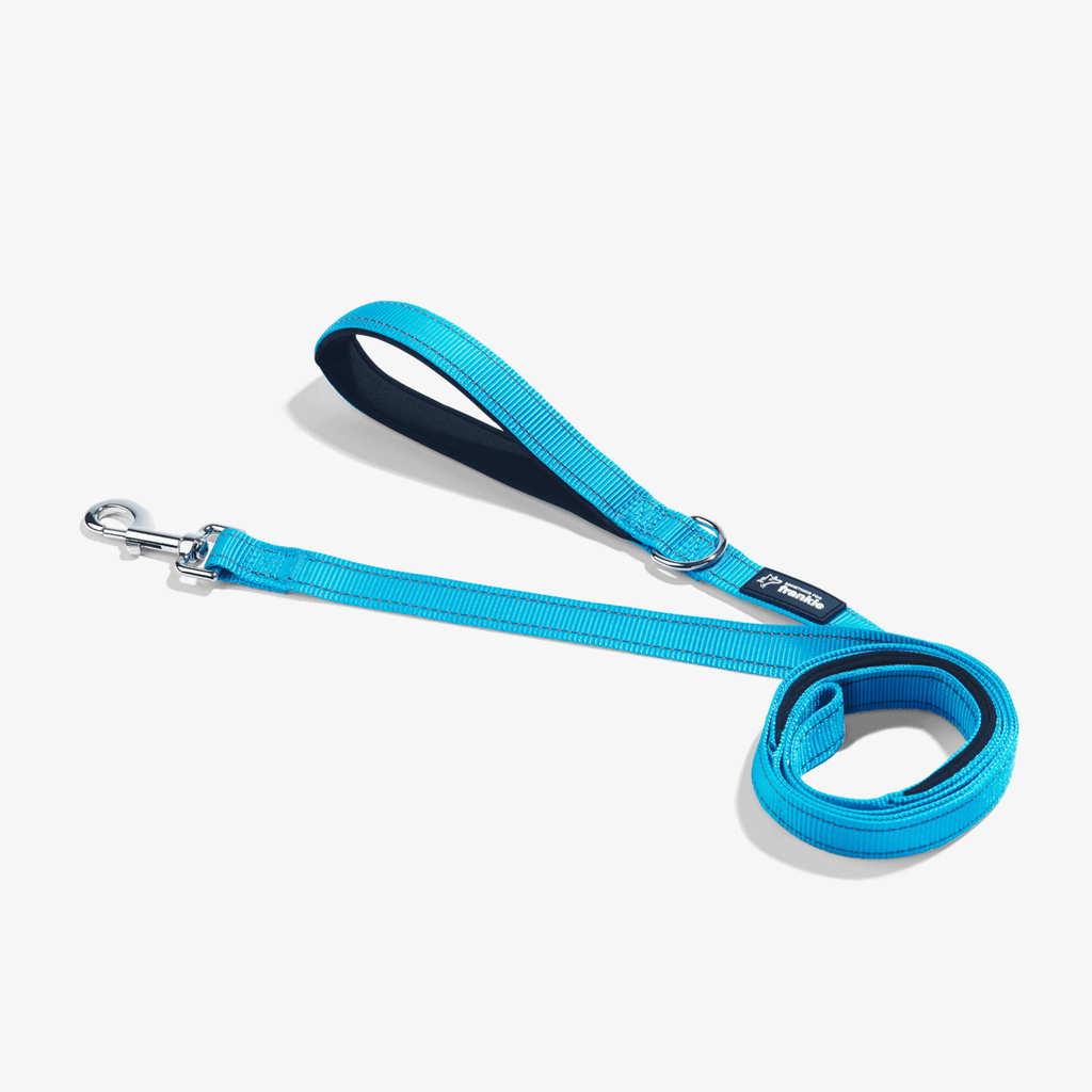 Aqua total control dog leash showing padded handle