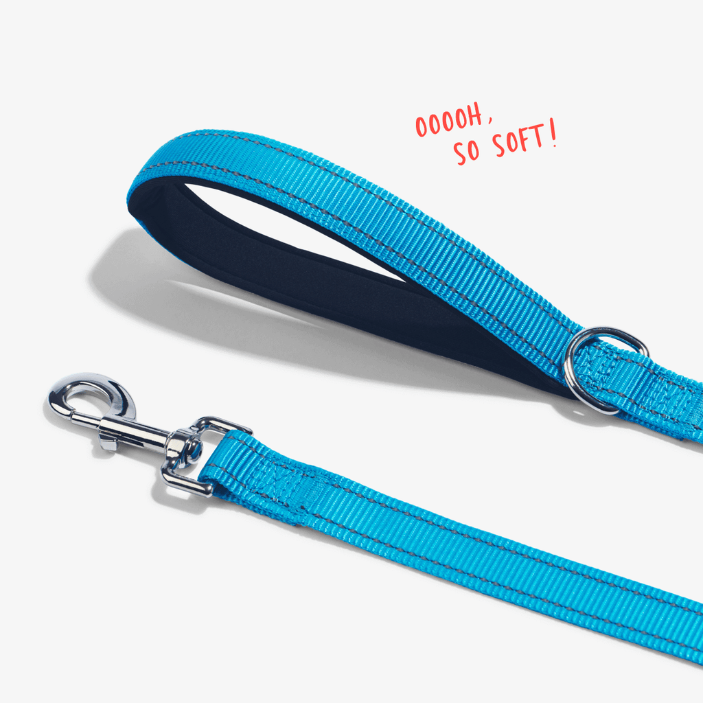 Aqua total control dog leash showing padded handle for comfort