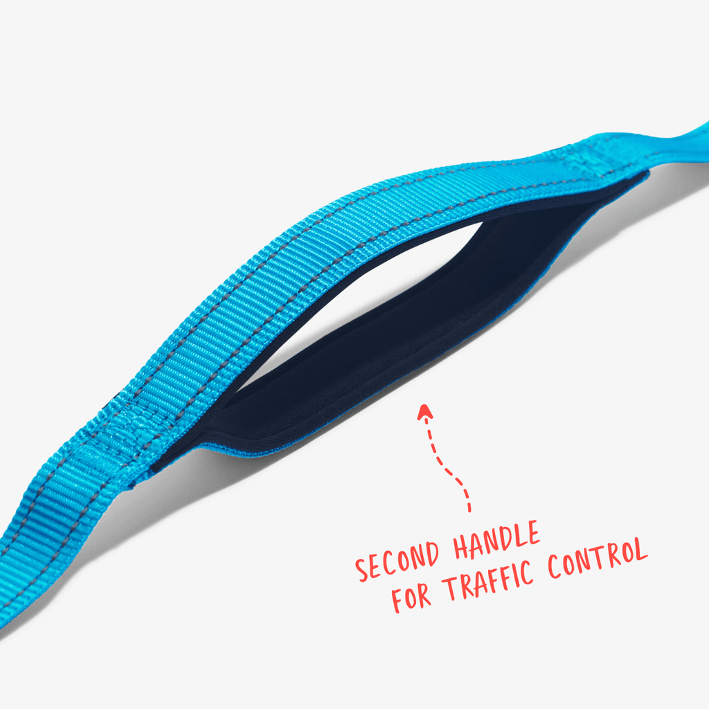 Aqua total control dog leash showing second handle for traffic control