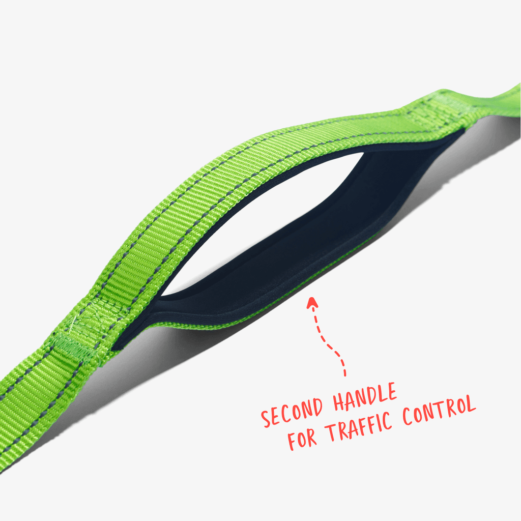 Lime total control dog leash showing second handle for traffic control