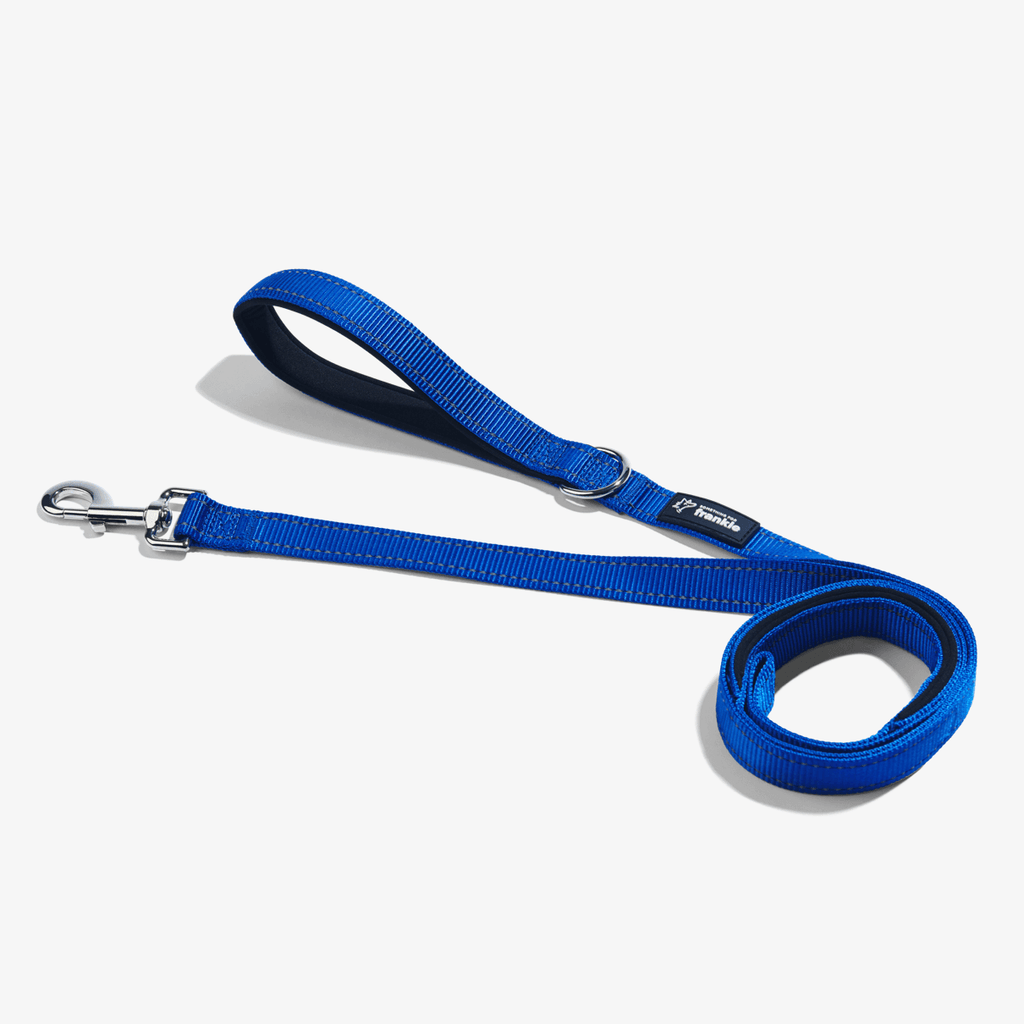 Navy total control dog leash showing padded handle