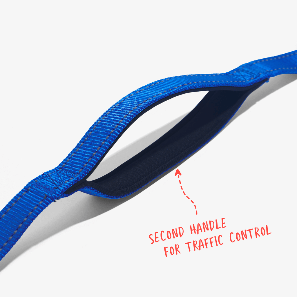 Navy total control dog leash showing second handle for traffic control