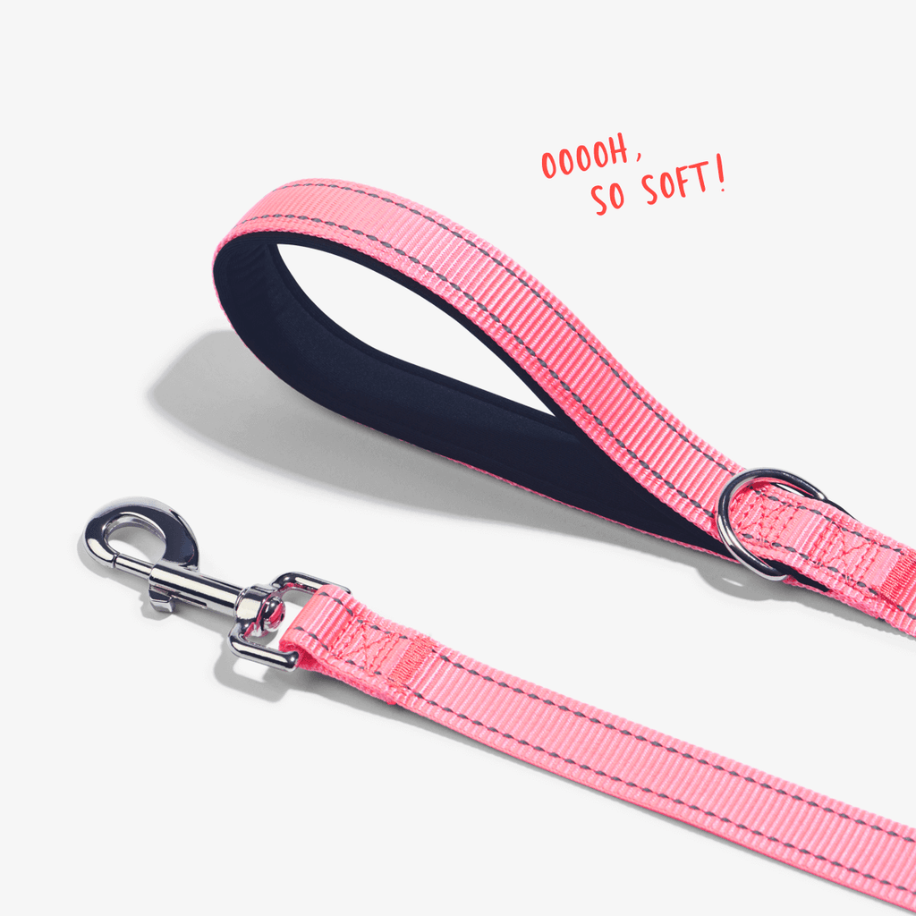 Pink total control dog leash showing padded handle for comfort