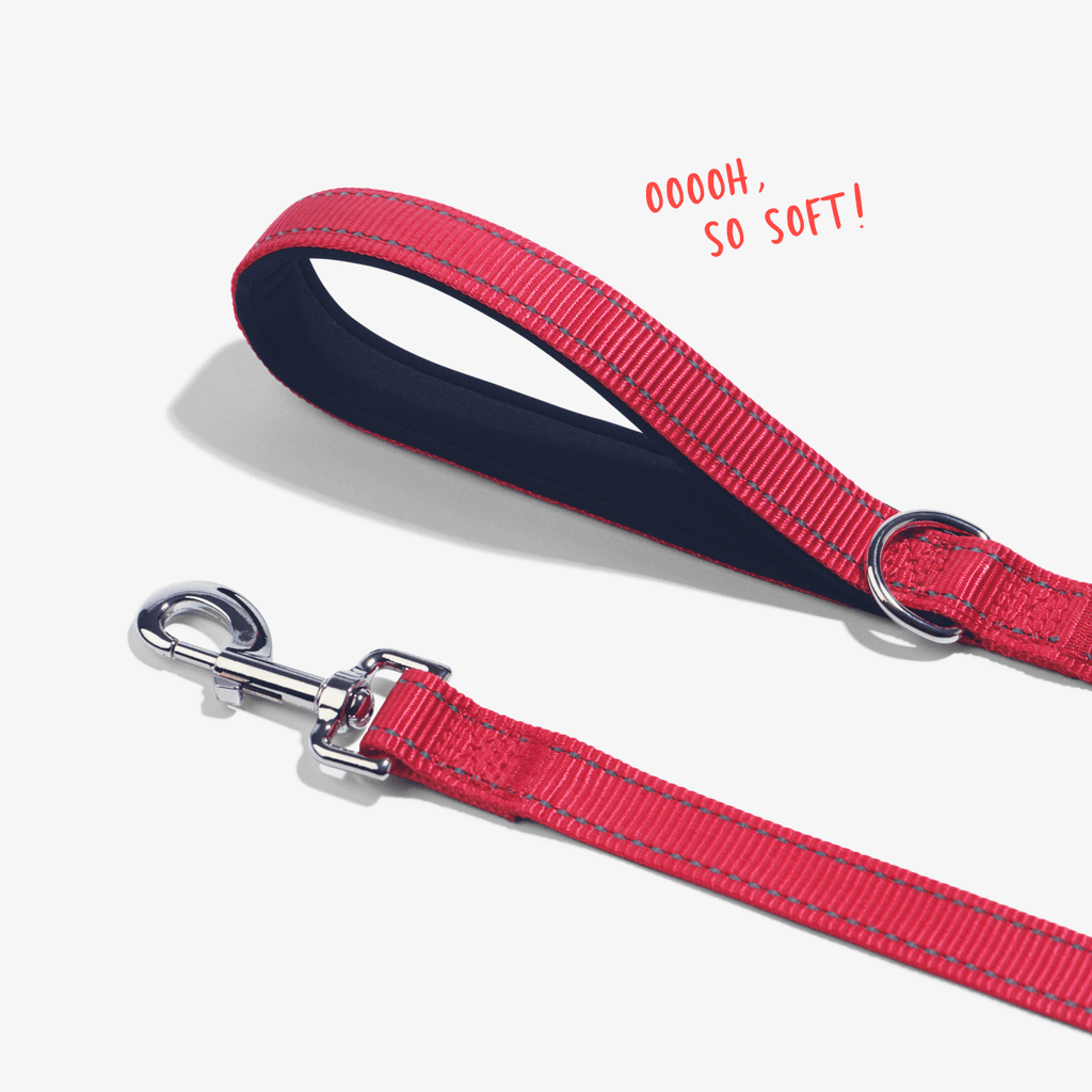 Red total control dog leash showing padded handle for comfort