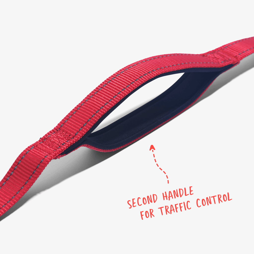 Red total control dog leash showing second handle for traffic control