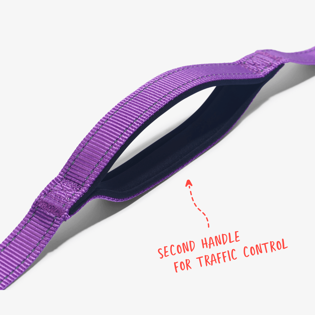 Violet total control dog leash showing second handle for traffic control